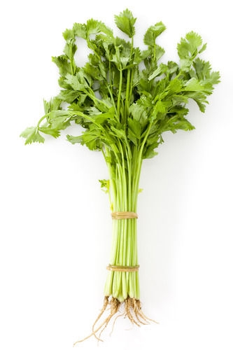 这些被你扔的蔬菜部位最营养 90%人都吃错 这些被你扔的蔬菜部位最营养 90%人都吃错