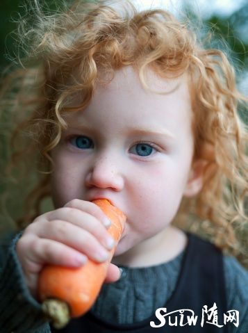 这些被你扔的蔬菜部位最营养 90%人都吃错 这些被你扔的蔬菜部位最营养 90%人都吃错