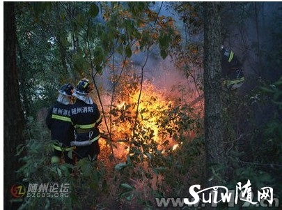 ɽ����Ű����Σ ������������