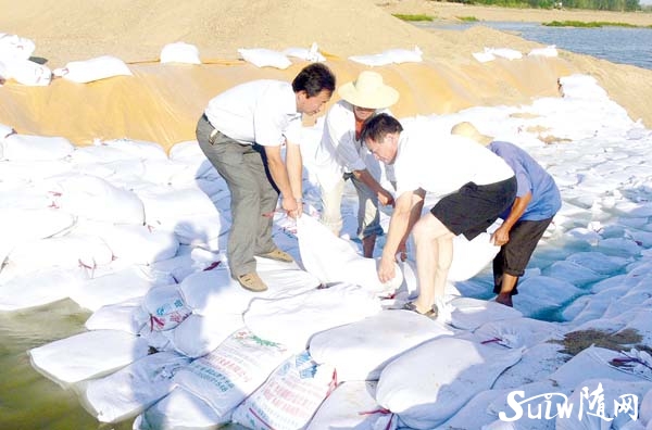 ������������ˮ