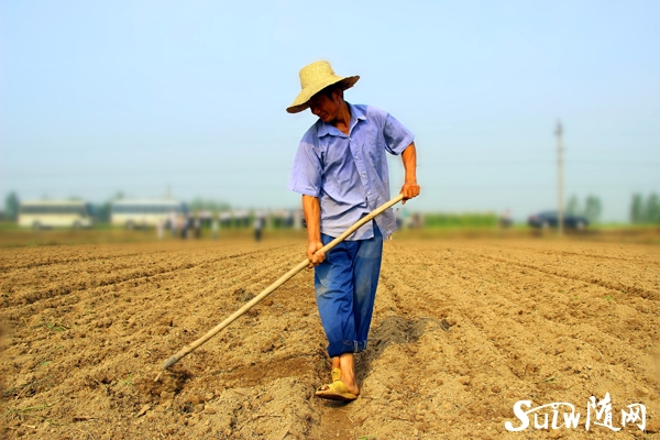 ��ץ�������鲹�ָ���