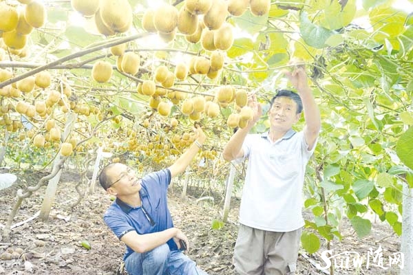 ����ֺ��һ����