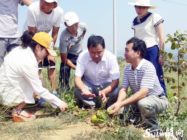 ��������֯��ѧ����ٵ�����һ��ʵ��