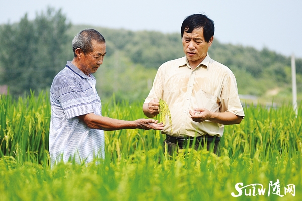 ���յ�ϲ��