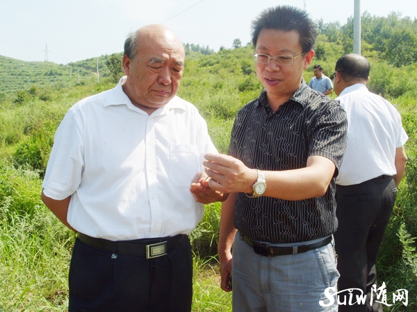 ���ϴٻ���������������ǧĶ�Ͳ���ؿ���