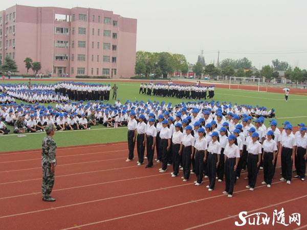 ����һ�о���������ѵ�ɹ��㱨����