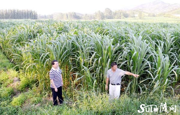 1000��Ķ����Ч��ɹ�