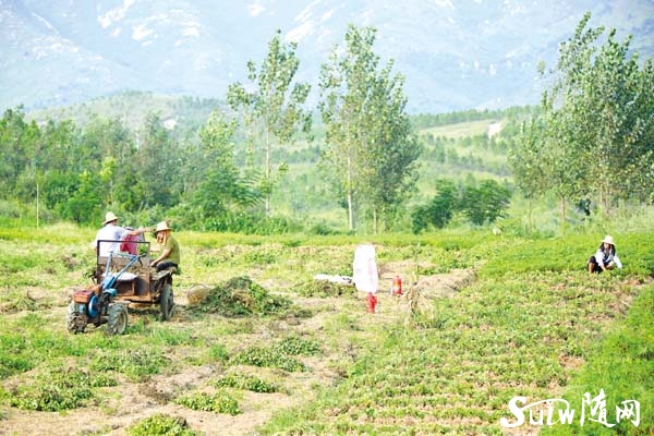 ���ֻ��������