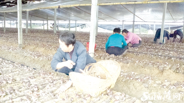 ����򷴼��ڵ����㹽ϲ�����