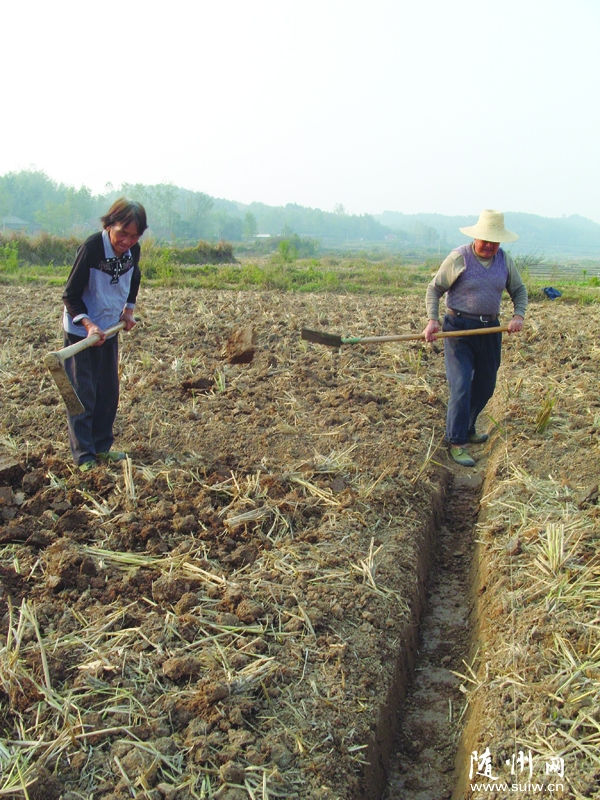 ��ȡ��������