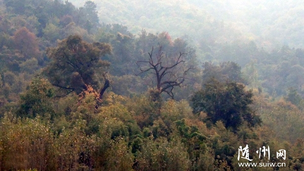 ������̳�߽�ʮ��ɽ