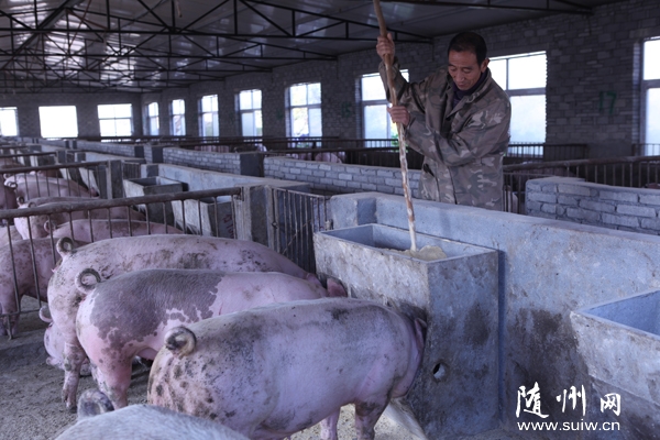 �ε����������������ֲ��ֳ�¸�