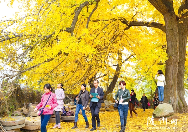 ���ӹ�������������