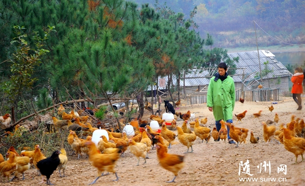 �������������������