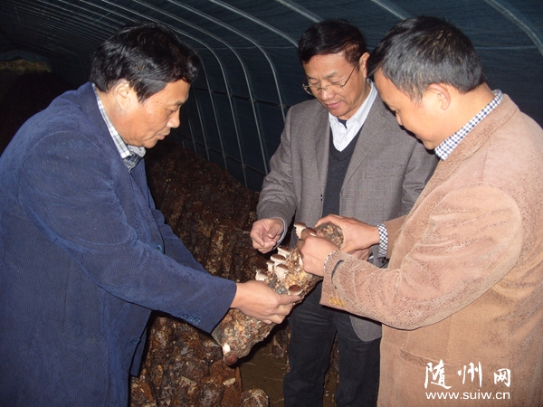 ָ�����ﹽ��ģʽ��Ŀ����