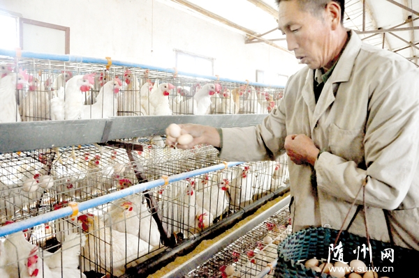 ��ֻ��������·