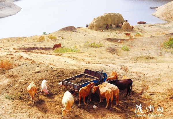 ��̬��ֳǰ����