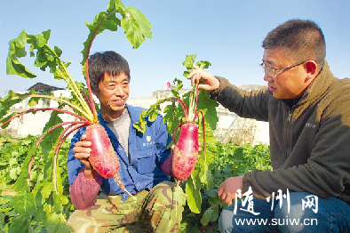 �������Ƽ�԰�¿���������̼��������Ϲ��ձ��������50%����