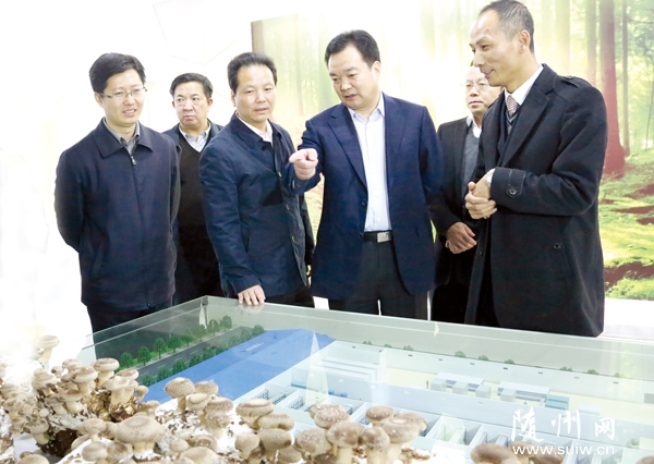 �����е��������������ݿ���