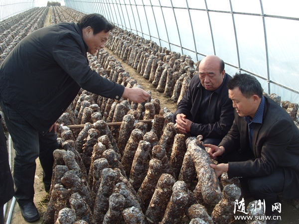 ���ֹ�ģʽ��