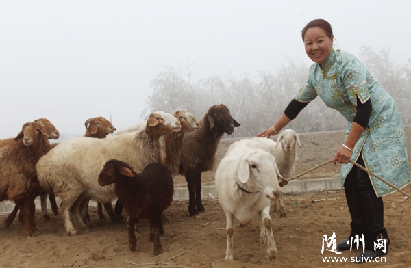 ������������ġ��ڶ����硱