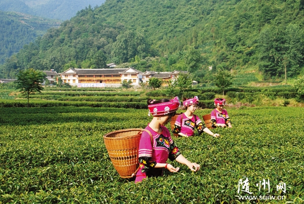 ��˫�������������