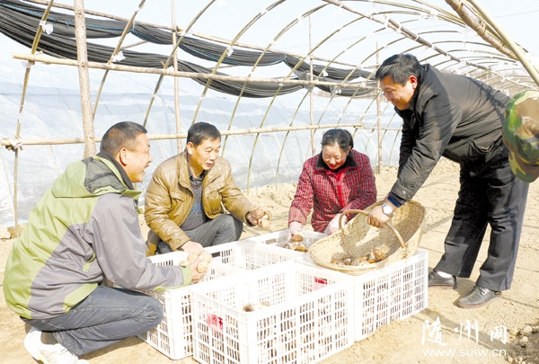 ��ɽ�ʹ����ķ�