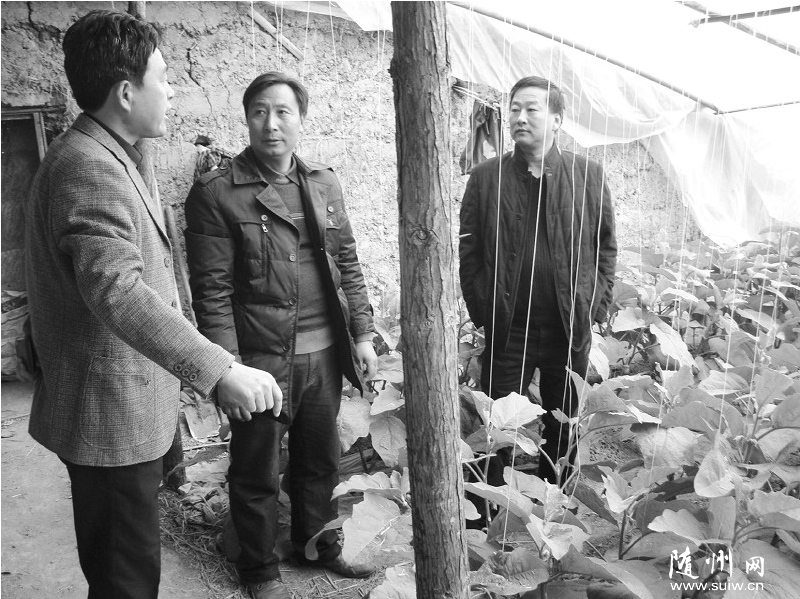 �����о�ҵ�ֺ��в��������Ͽ�չС����������