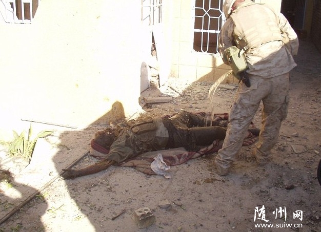 ������������Űʬ ��������������ʬ�������ͷ���