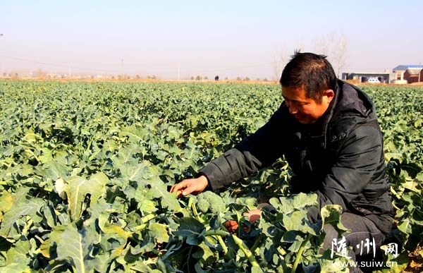 ���������������ܱ߳���