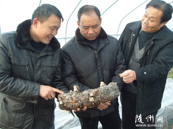 ���ϴٻἰ����Э��������ָ������������Ĥ�״�����