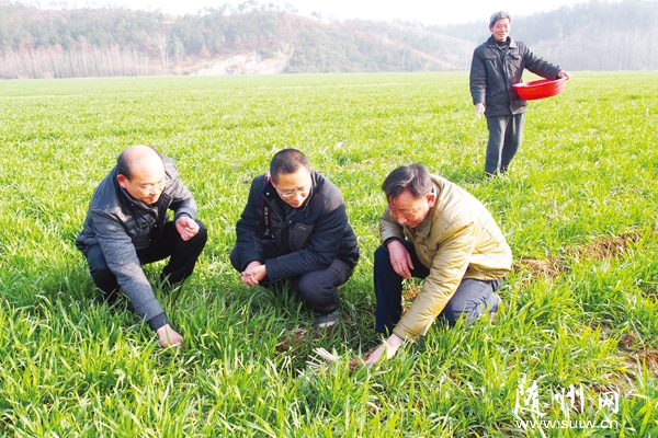 ������ũҵ��ָ��ũ��ץ��������С�����