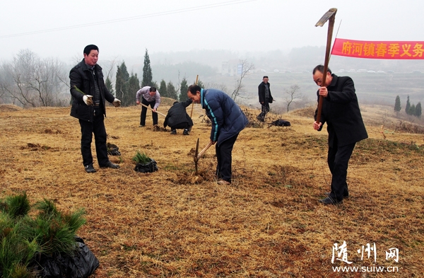 ��������ֱ���غͲ��Ÿɲ���չ��������ֲ���