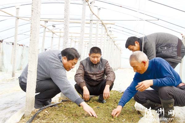 ������Э�й��쵼�ͼ�����Ա���߲˺�����ָ���߲�����