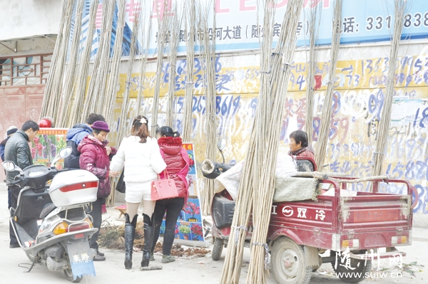 ֲ���ڽ��� ���ذ����򻨻���������