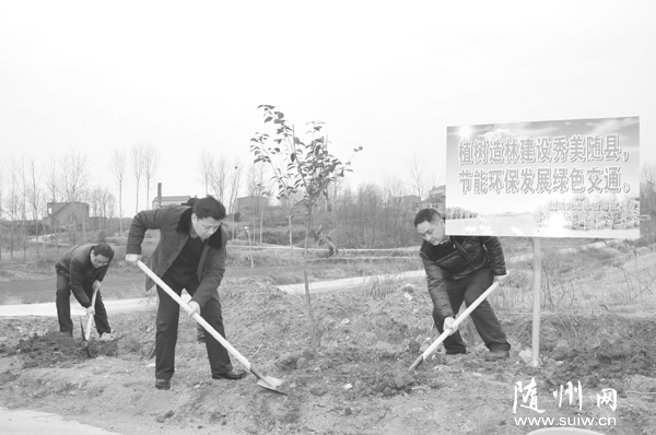 ���ؽ�ͨ�������֯�ɲ�ְ����չֲ���