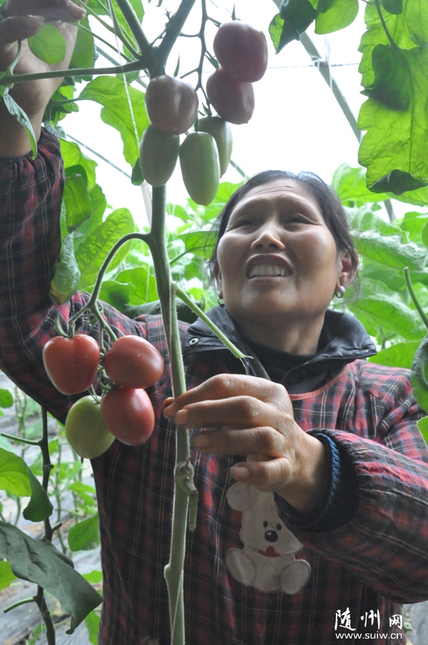 ���ذ������Է�����ѧ���ַ������߲�