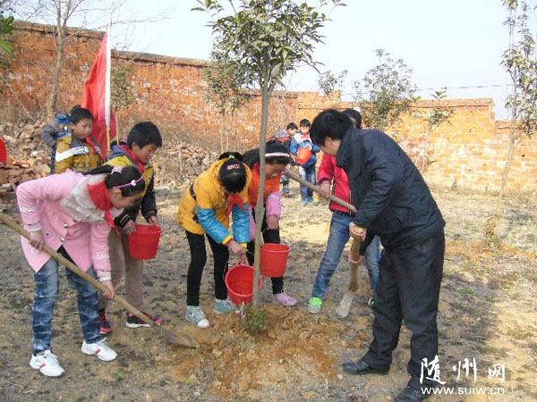 ����������̫ɽСѧ��չ����ֲ���