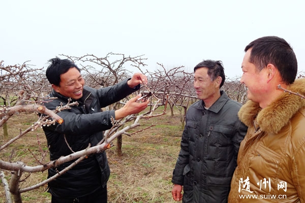 רҵ���������ũ����ֲˮ���¸�