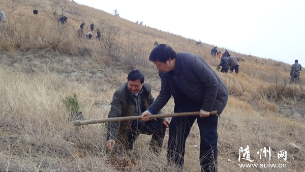 ���ظ߳��򴺼���ֲ���չ��