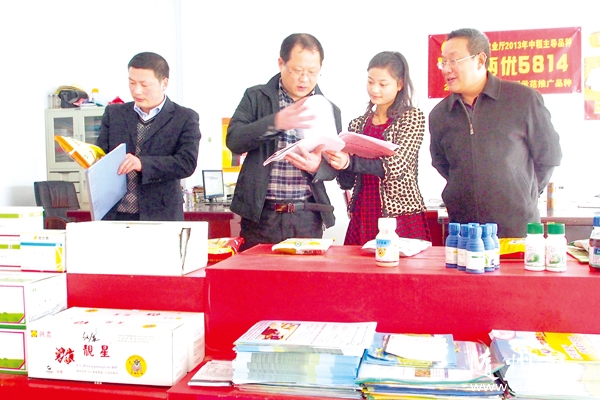 ���������ӹ����ֶ�Ͻ�������Ӿ��������м��