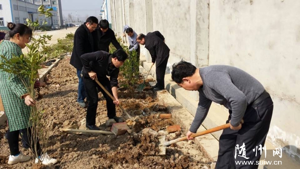 �����������翪չ����ֲ���