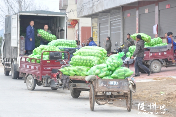 ���ذ�����ɳ�������߲˴�����������