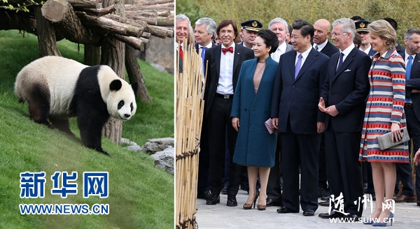 ϰ��ƽ�ͱ���ʱ����������Ϊ����è԰��Ļ