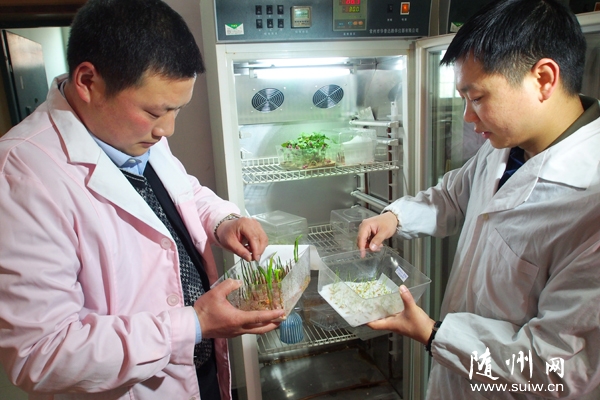 �������ֹܾ��ϰѴ�������������