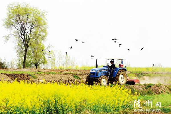 ���������ũ����ָ��ີ����3����Ķ