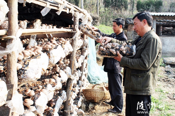 �������������㹽�г��ȶ�Ч���