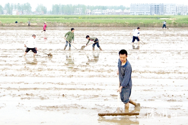 ��������æ