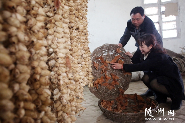 ���Ƽ뻯����