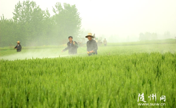 ���������׷�С���ù�� ���ذ�����ũ������ũҩ��ǰԤ��